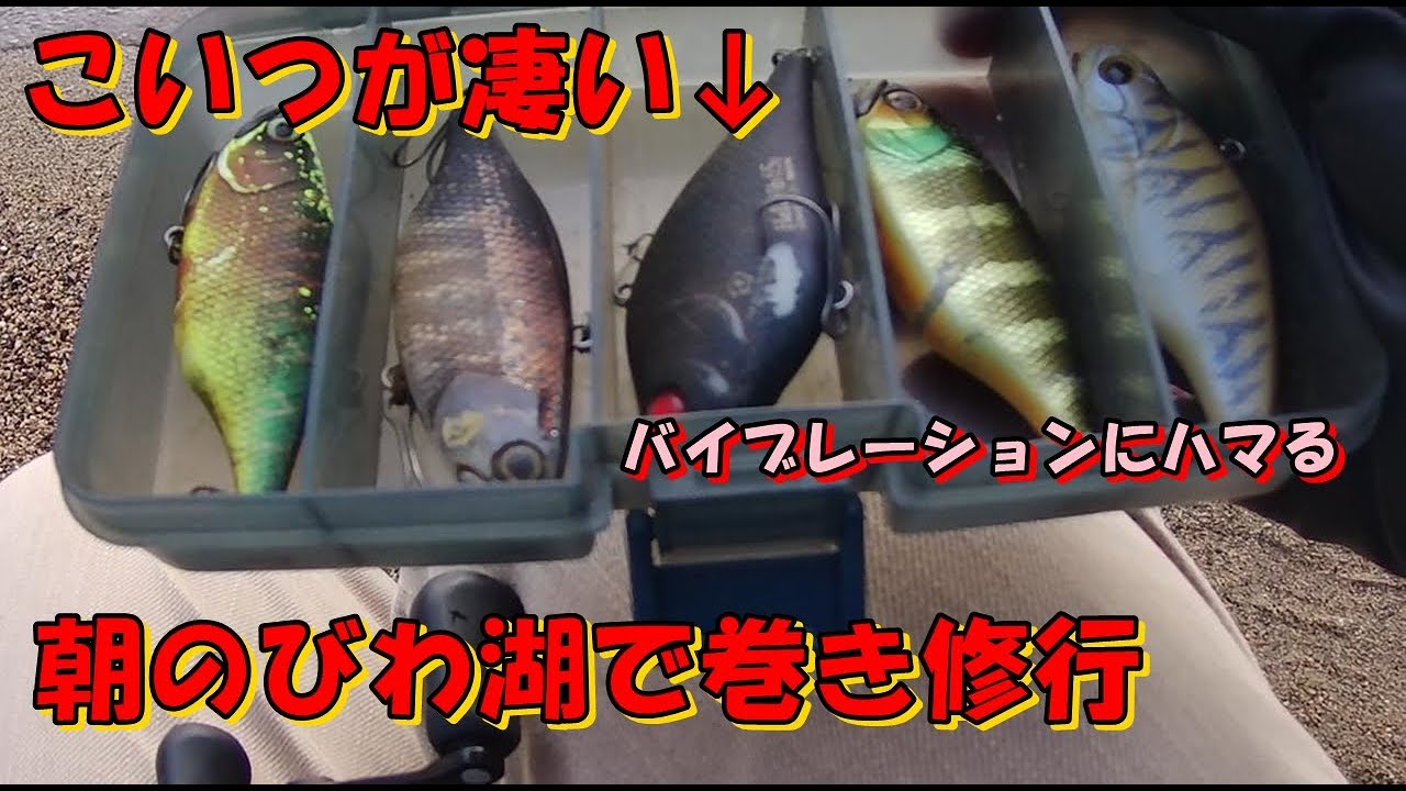 バス釣り【西岸おかっぱり】初バス狙ってバイブレーションをひたすら巻いてみた・・・TN・ヘラバイブ