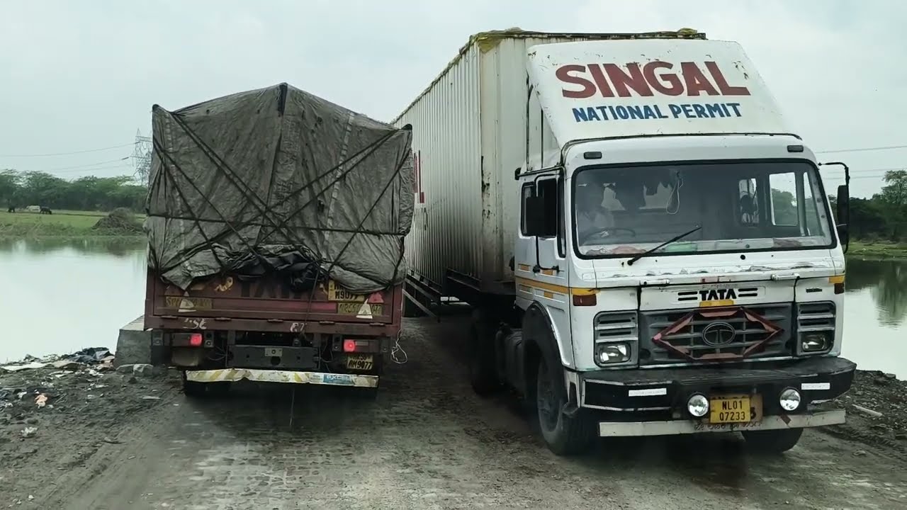 Real Life Jio India Single 🛣️ Road deshi gaov #viralvideo #viralvlogs #youtubecreator#मध्यप्रदेश