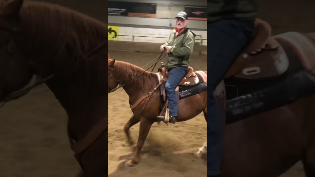 Barrel racing turns, form to function