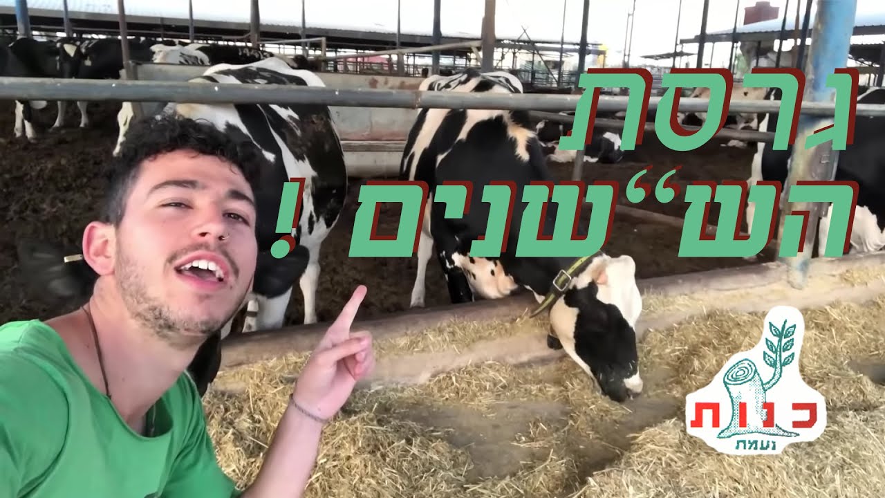 שבט אחים ואחיות - גרסת הש