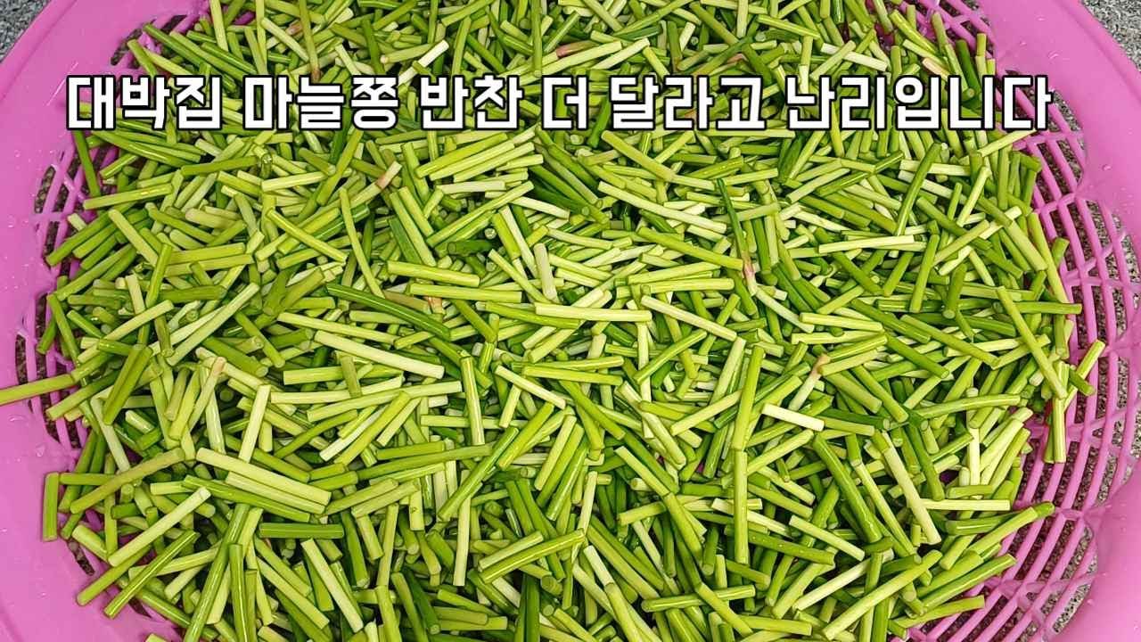 마늘쫑은 이렇게 만들어야 가장 맛있습니다/ 3가지방법