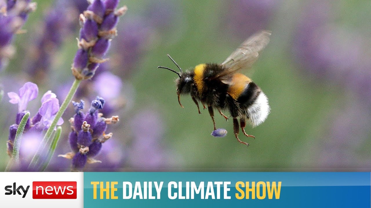 Are we taking biodiversity loss seriously?