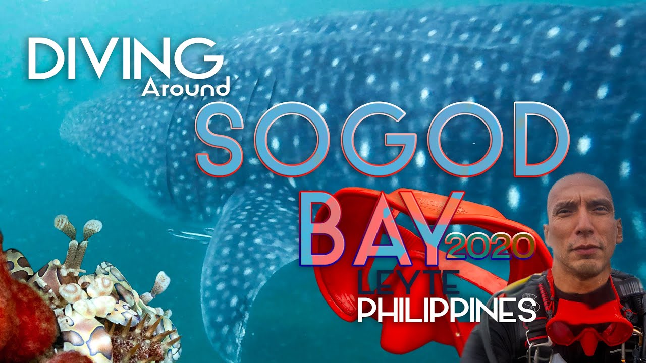 Diving Philippines Sogod Bay Leyte