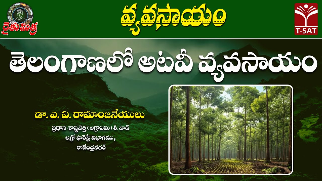 🌱 రైతుమిత్ర వ్యవసాయం | తెలంగాణలో అటవీ వ్యవసాయం (Agro-Forestry) | డా. ఎ.వి. రామాంజనేయులు | T-SAT