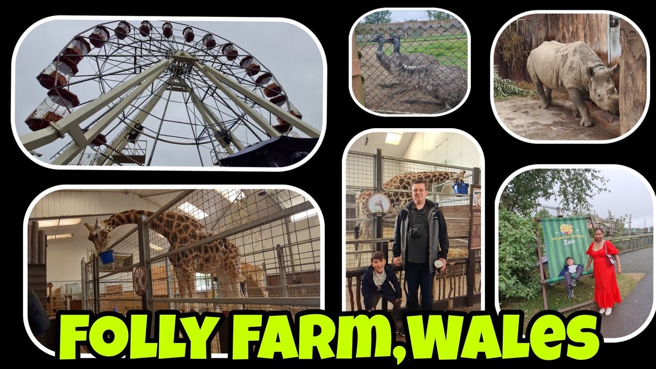 Folly farm and zoo Adventure , Wales, Pembrokeshire