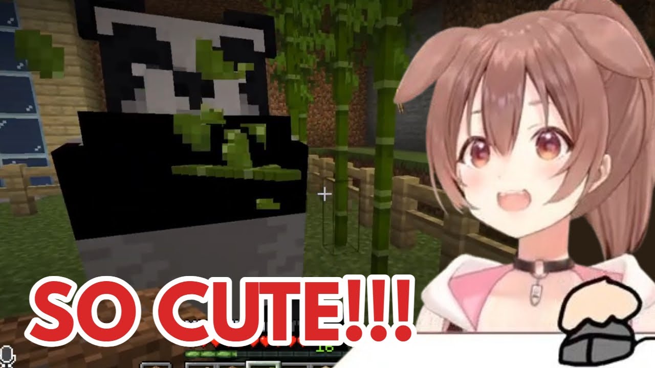 Korone's Reaction After Seeing A Panda Eat
