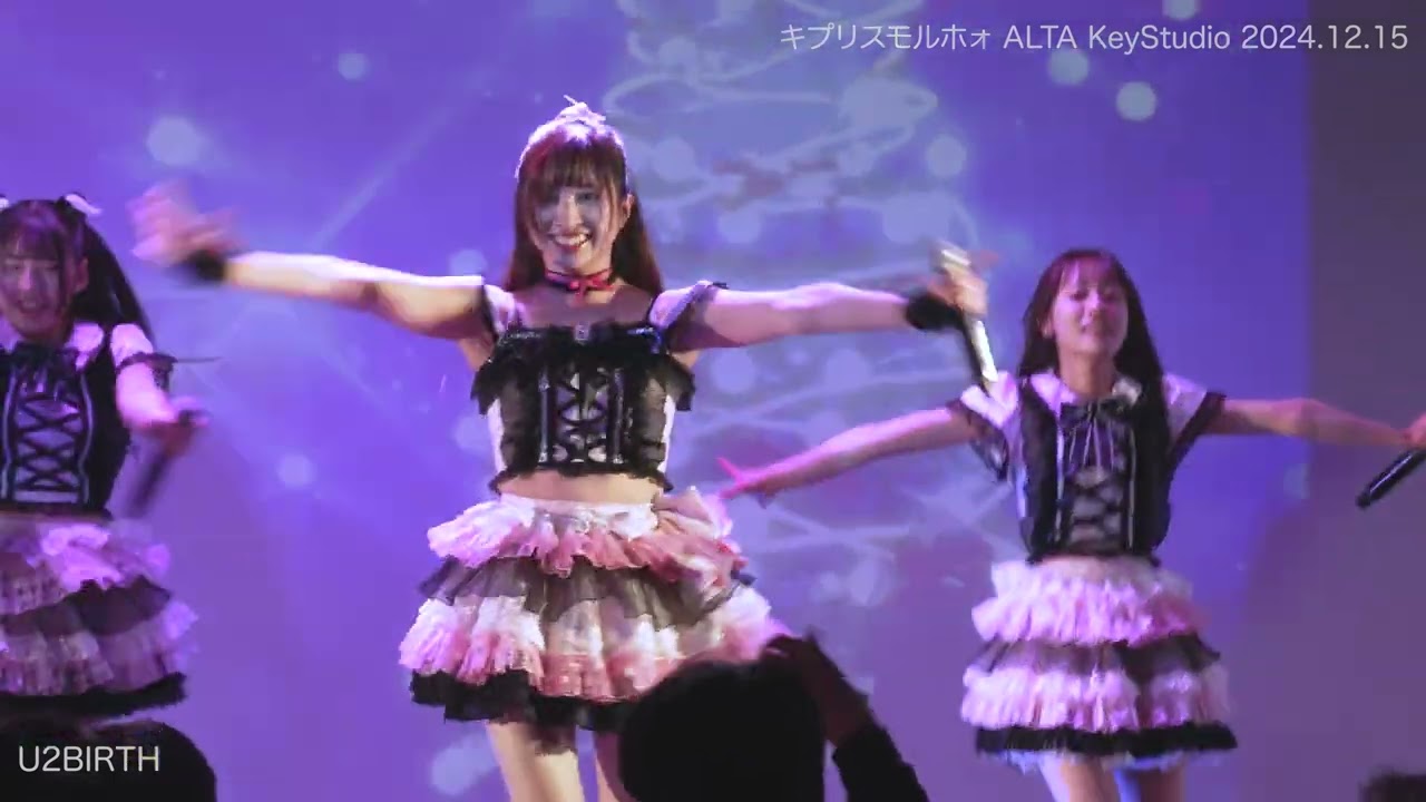 キプリスモルホォ（ライブ映像）2024 1215　KeyStudio