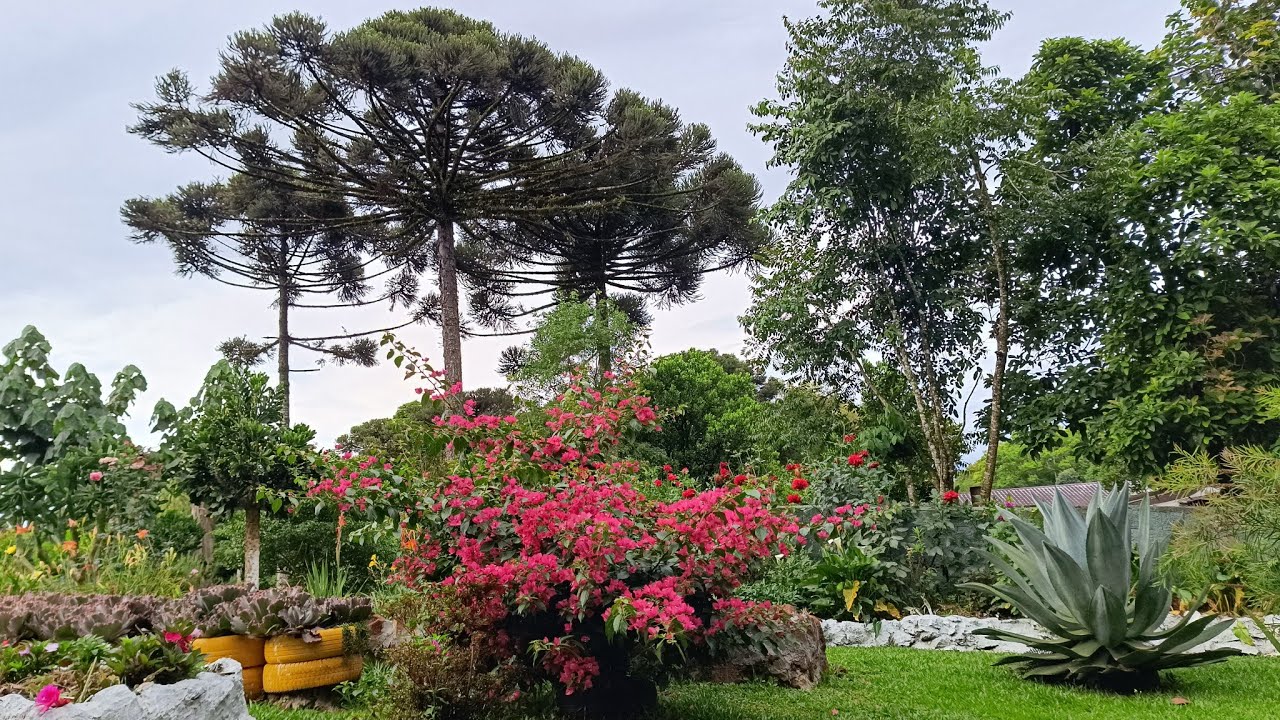 Compras,pomar, flores,animais e construindo jardim na chácara!