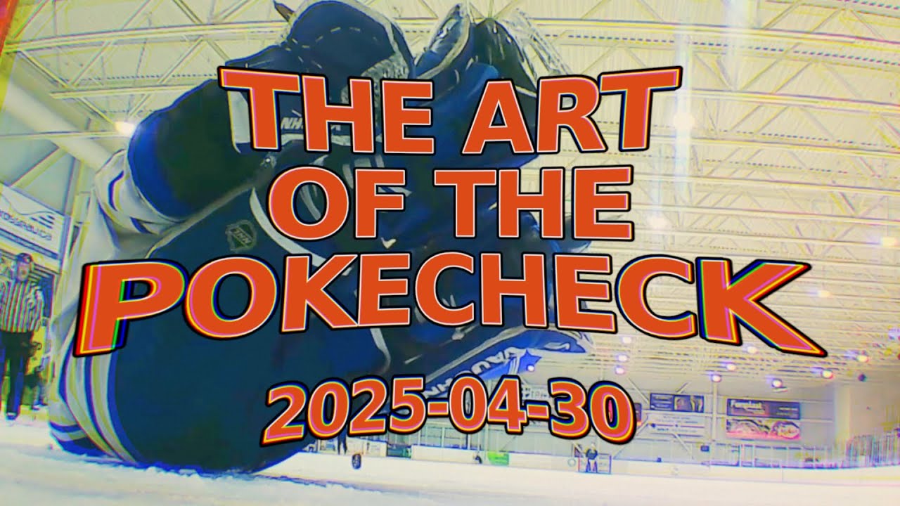 The Art of the Pokecheck 2025-04-30