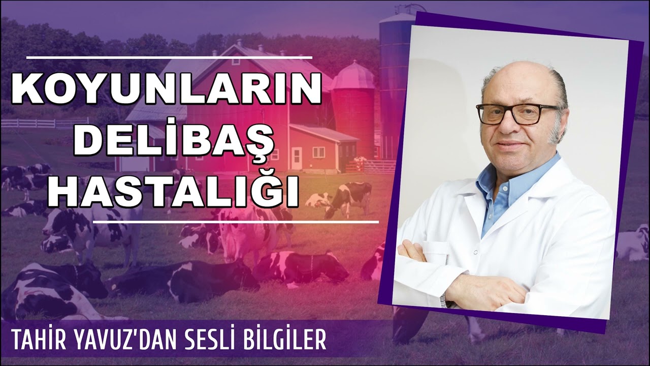 Tahir Yavuz'dan Sesli Bilgiler 