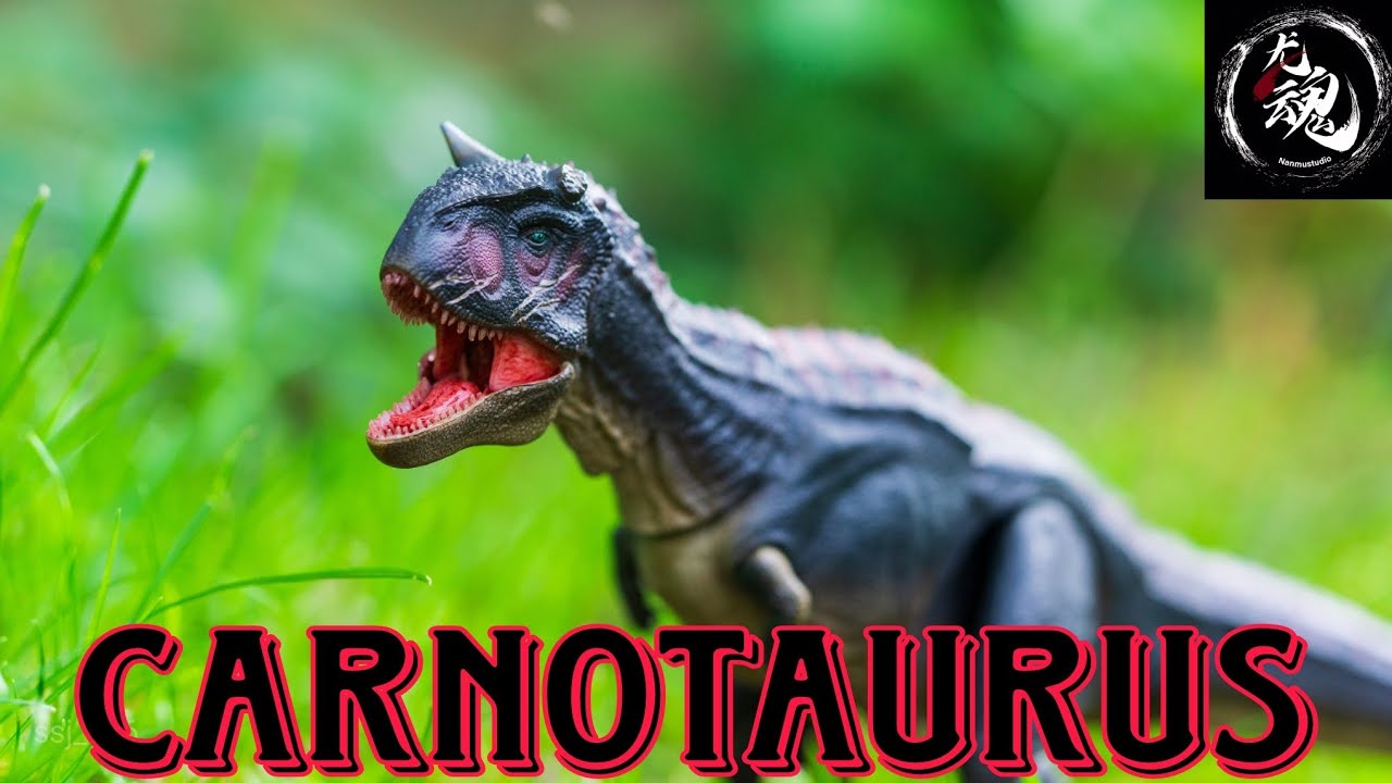 Nanmu | Carnotaurus | Unboxing & review.