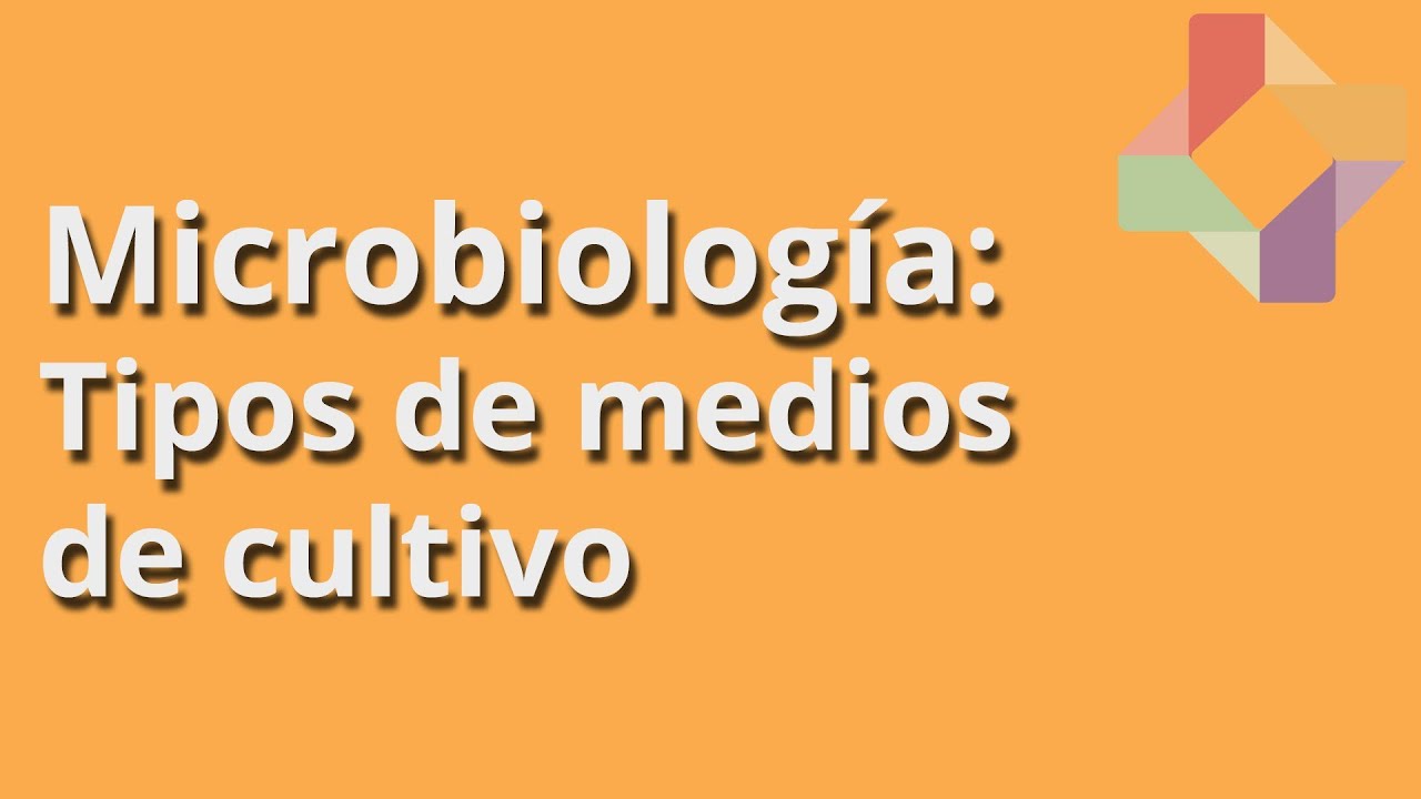 Tipos de medios de cultivo - Microbiología - Educatina