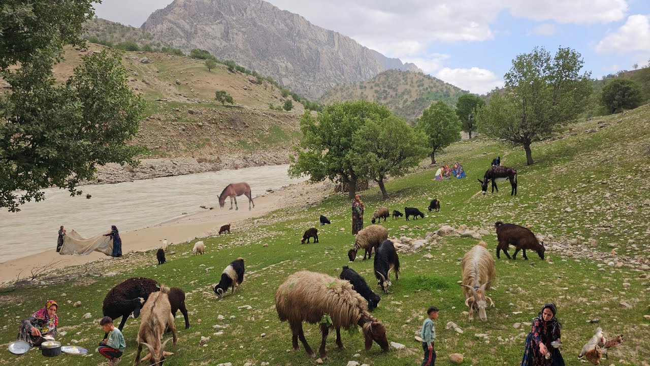 Nomadic life:single nomadic girls ruined tents by wild river Khersan lush nature of Zagros Mountains