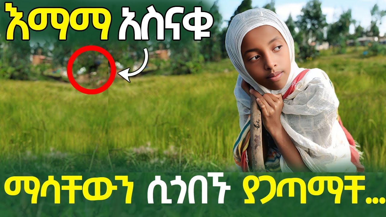 እማማ አስናቁ ማሳቸውን ሲጎበኙ ያጋጠማቸውን ጉድ ተመልከቱ | ዘውዱን ወረዱበት