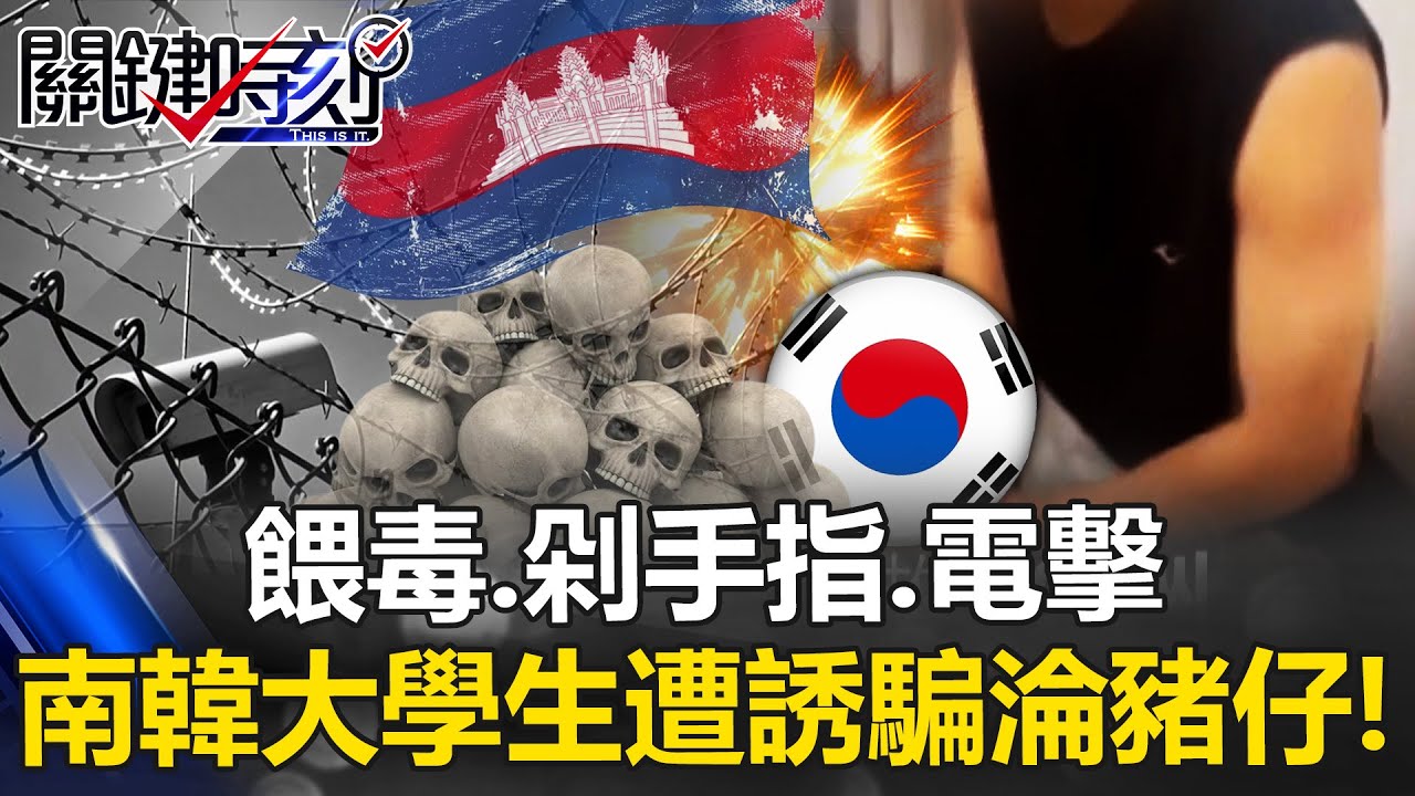 餵毒、剁手指、電擊 南韓大學生遭誘騙至柬埔寨淪「豬仔」慘遭虐殺！？ 【關鍵時刻】20251014-3 張炤和 張禹宣