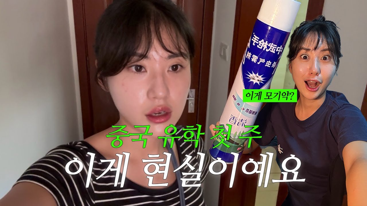 🇨🇳 중국 유학 첫 주 현실 브이로그 