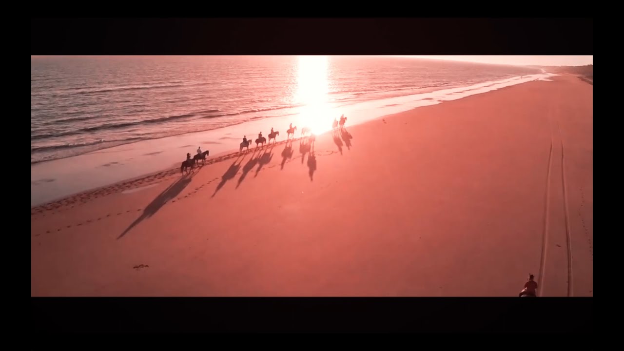 Crazibiza & Chris Willis - Lonely One (Mascota & D-Trax Rmx)[InMotionTV Radio Edit]