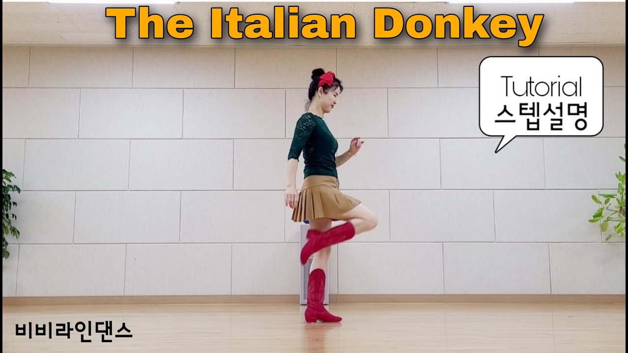 [최신1위 스텝설명] The Italian Donkey (이탈리안던키) - Line Dance | Easy Beginner | #비비라인댄스