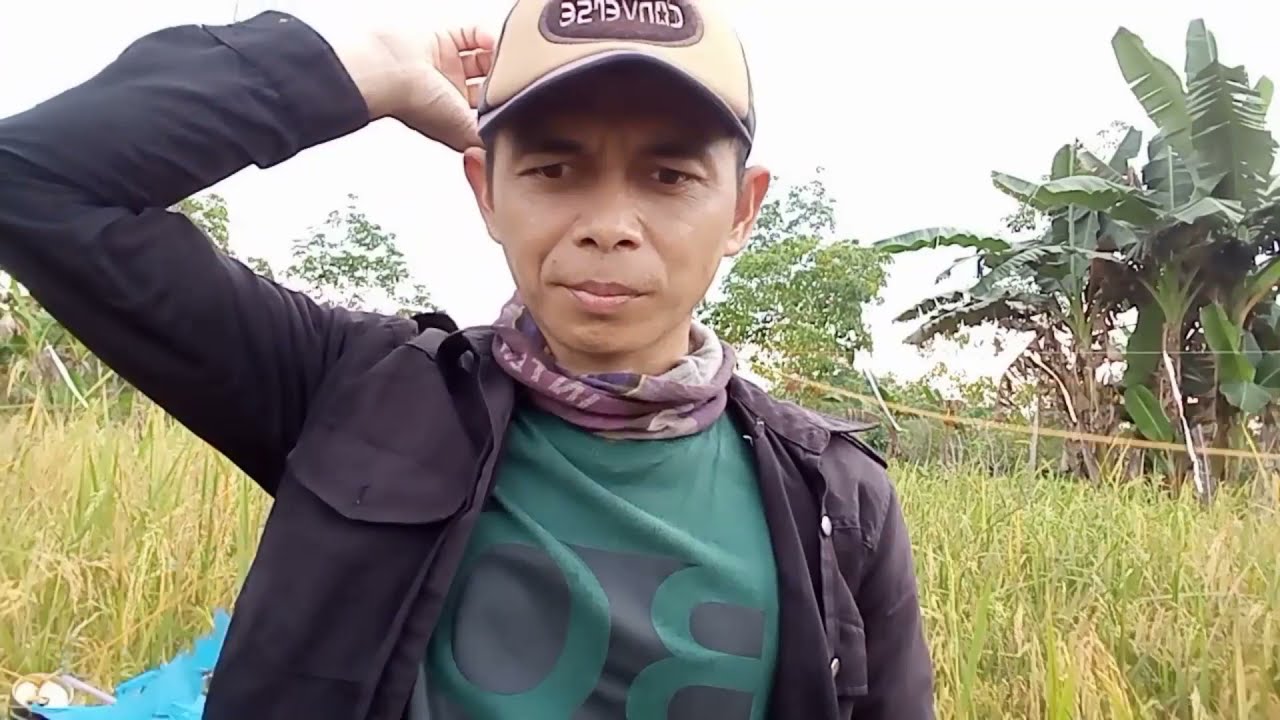 JALAN-JALAN DI SAWAH