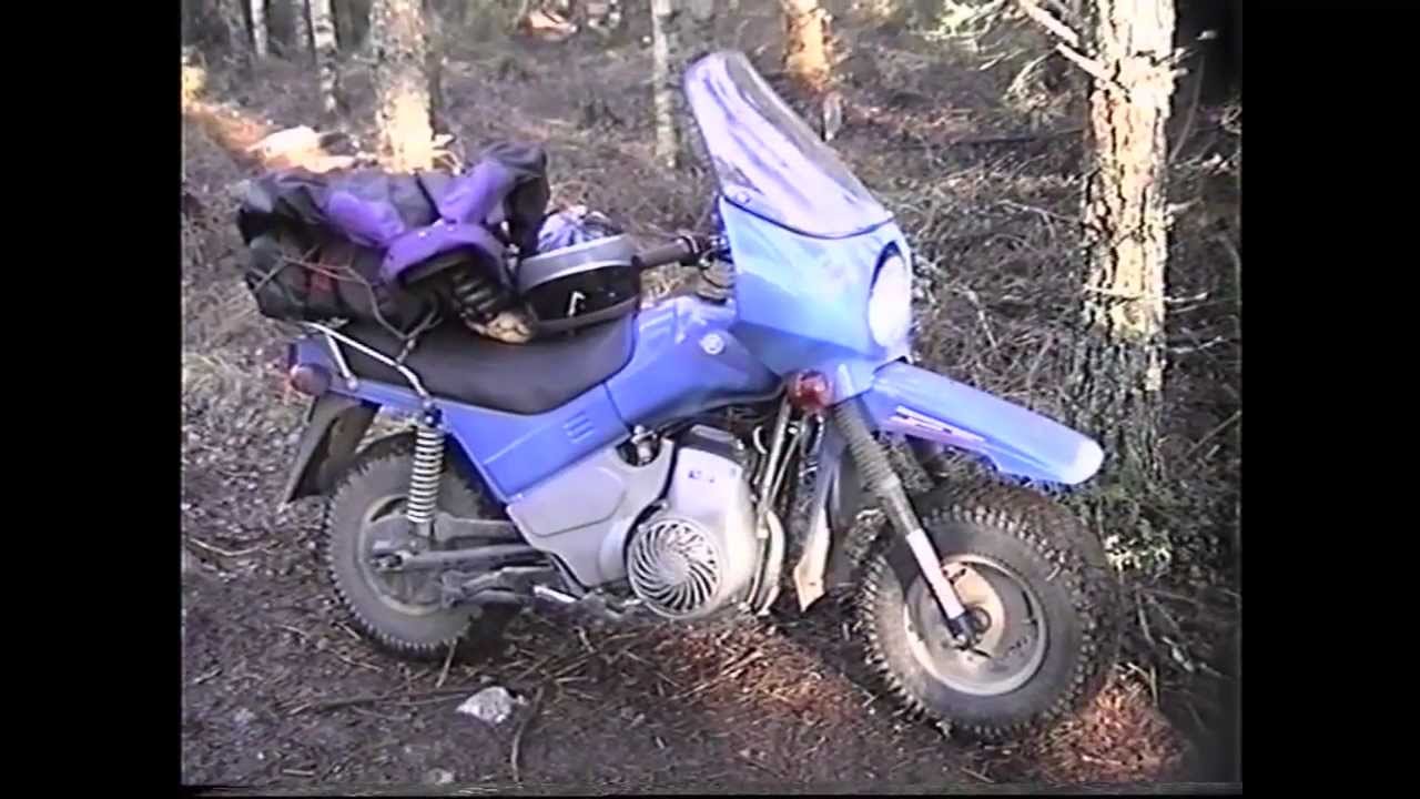 Pystymettä 1995