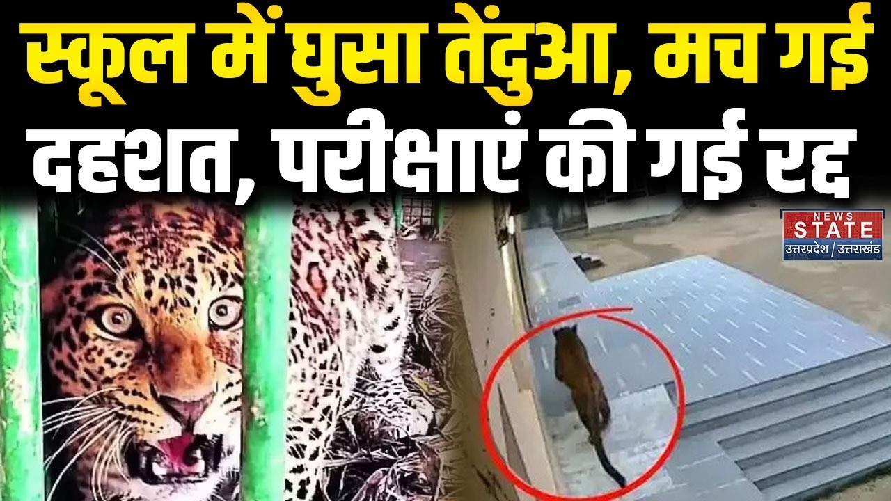 Ghaziabad School Leopard: स्कूल में घूम रहा तेंदुआ, सावधान गाज़ियाबाद! | Breaking News | Green Field