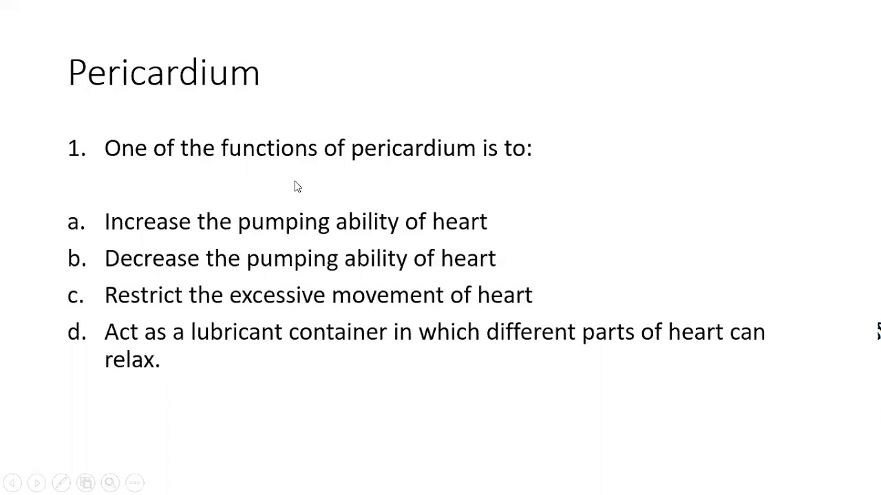 Thorax   Pericardium Test MCQs