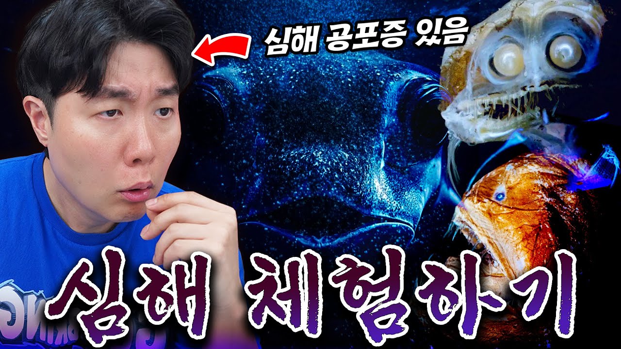 심해 공포증을 이겨보자..! 심해에 사는 생물들 살펴보기