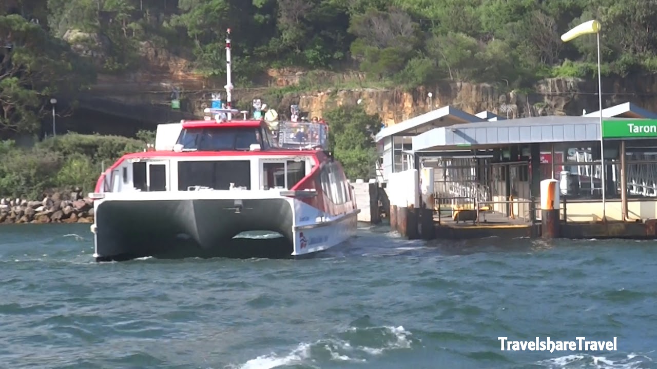 Ferry Ride Back & Forth Circular Quay to Taronga Zoo Sydney - Taking a Ferry To and From Taronga Zoo