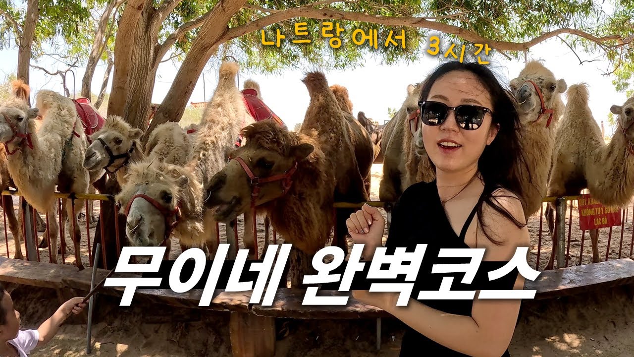 나트랑에서 