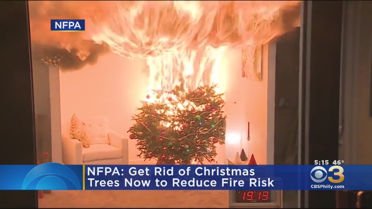 Leaving Christmas Tree Up Too Long Can Be Dangerous For Home