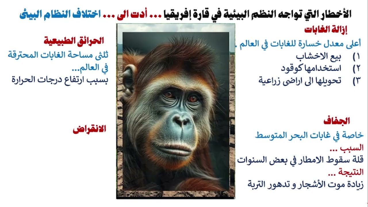 نظم الغابات فى افريقيا  ( الغابات المدارية المطيرة و غابات البحر المتوسط )