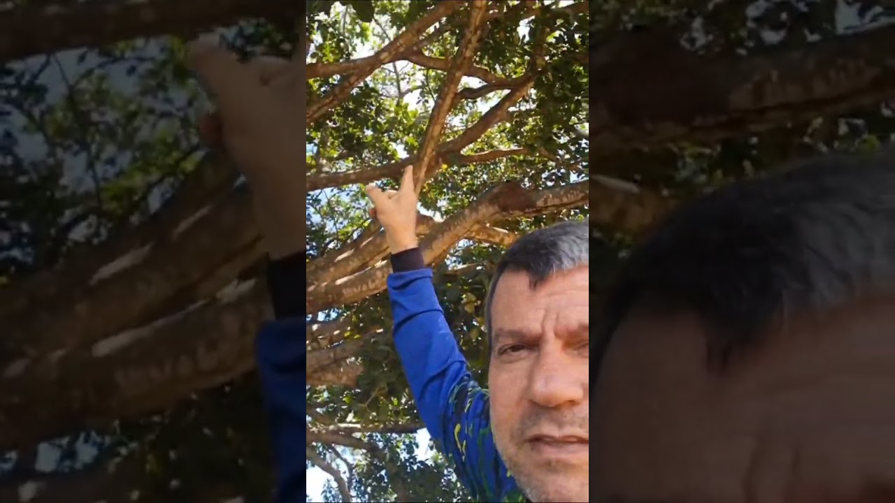 O Que Ninguém Vê no Caminho do Rio Piquiri