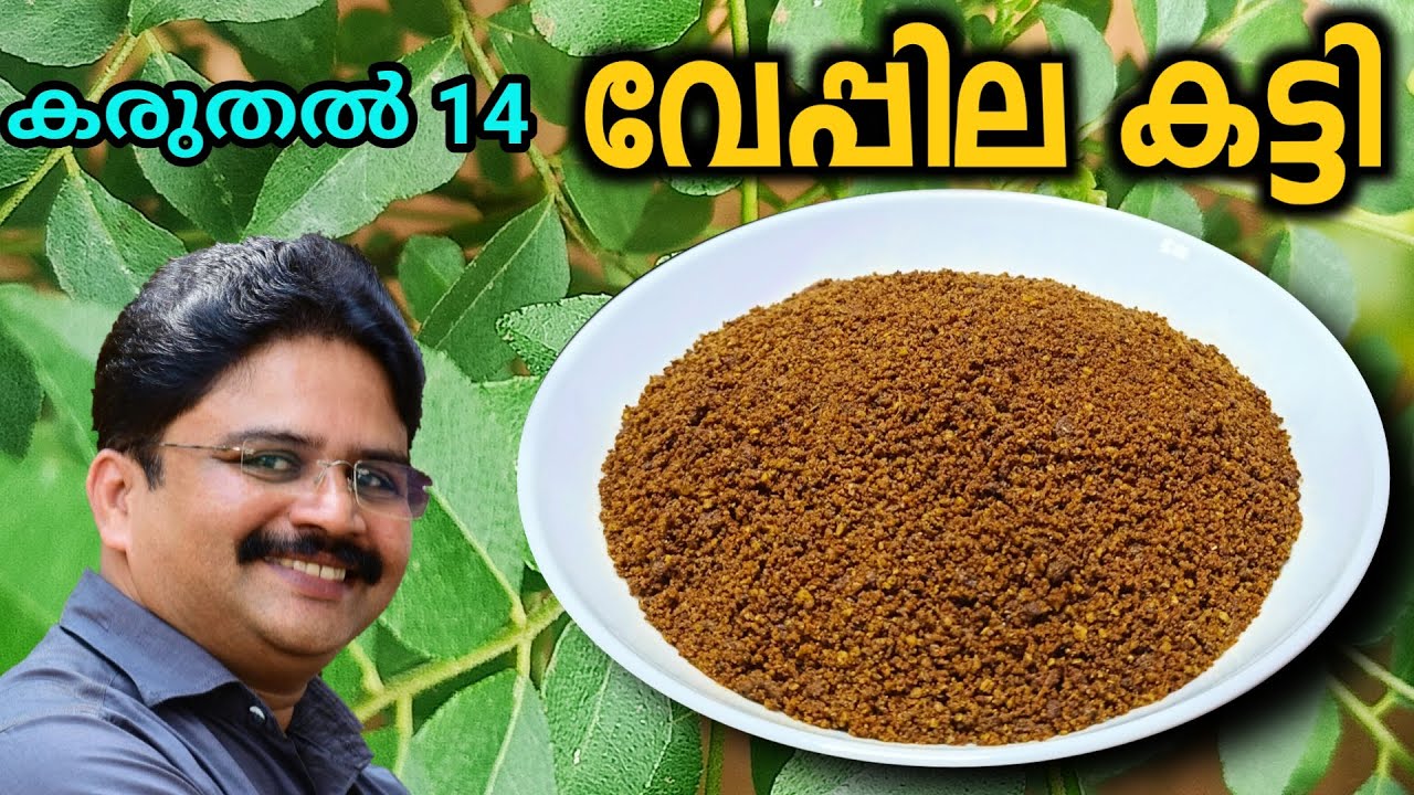 Veppila katti | വേപ്പില കട്ടി | വയറ് നിറയെ ചോറുണ്ണാൻ ഇത് മാത്രം മതി | തനി നാടൻ ചമ്മന്തി പൊടി