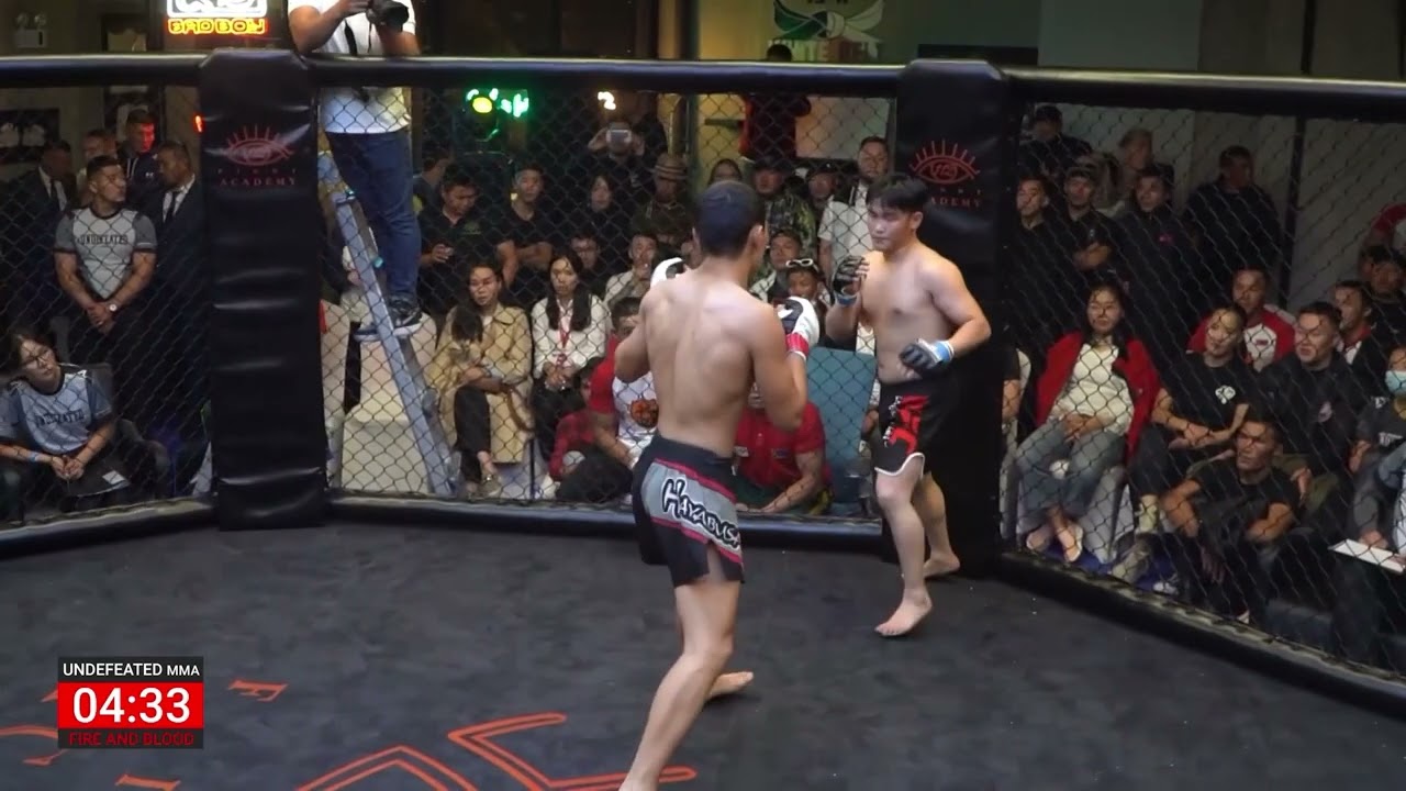 Batbayar Namsrai vs. Zagdsuren Baljinnyam (pro mma 56.7kg)