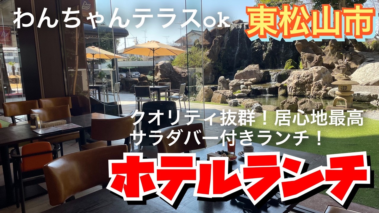 【埼玉グルメ】コスパ・ボリューム・居心地最高✨サラダバー付きホテルランチ✨静かで穏やかな時間が過ごせちゃう✨おすすめ✨