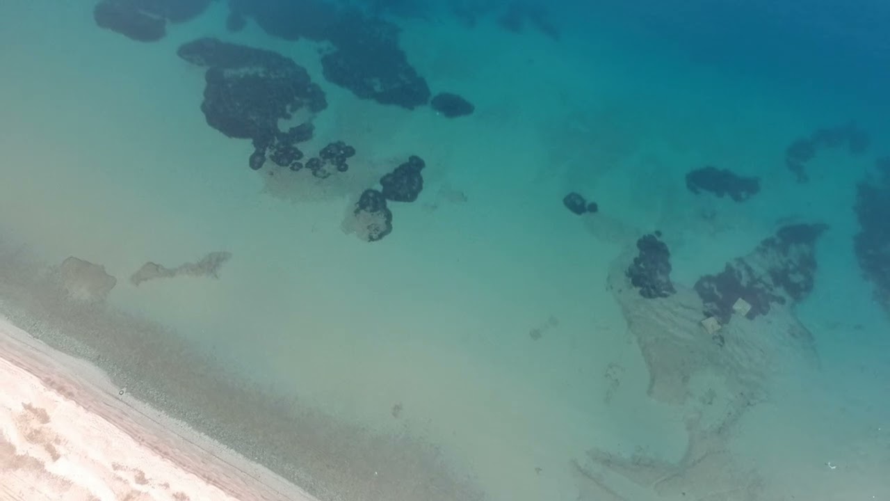 bodrum Gündoğan Muğla liman ve  sahil balık avı Mart 2023