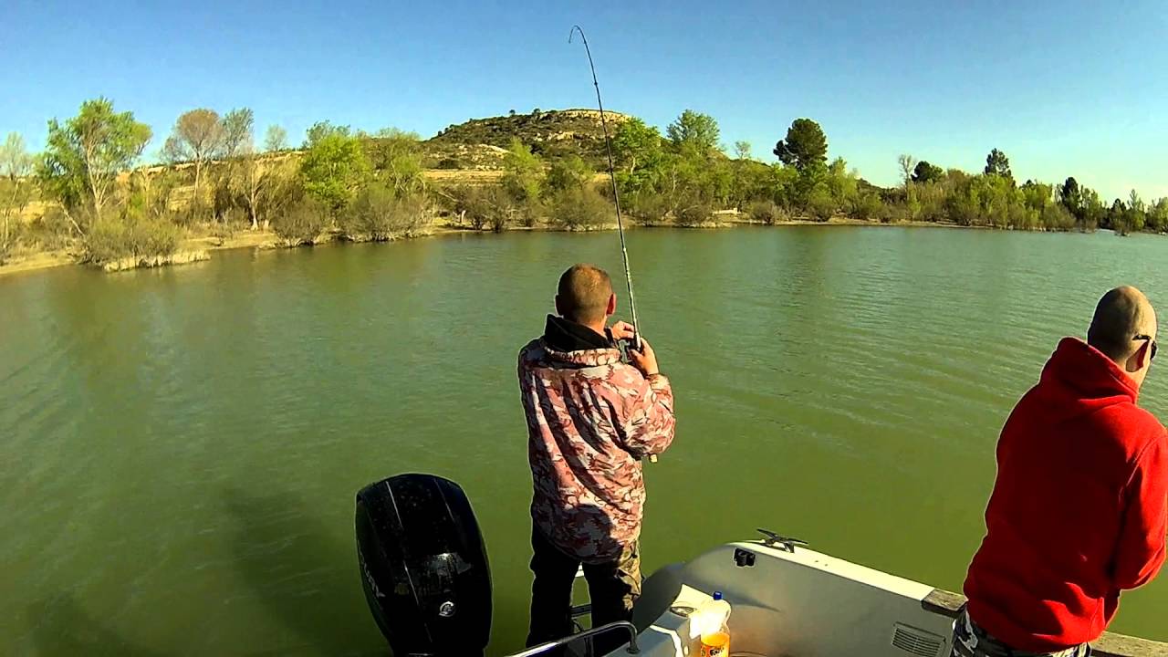 cand&aacute;ti 2016 Rio Ebro (zander fishing Rio Ebro)