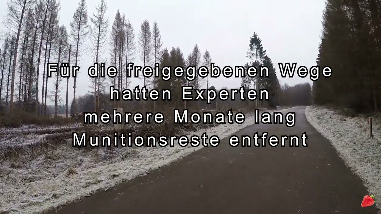 Truppenübungsplatz Daaden (Steegskopf)