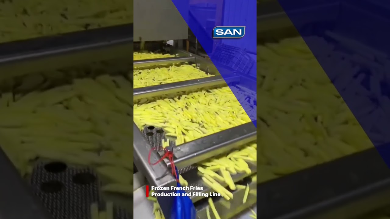 SAN Food Machinery Industry Frozen French Fries Production and Filling Line 