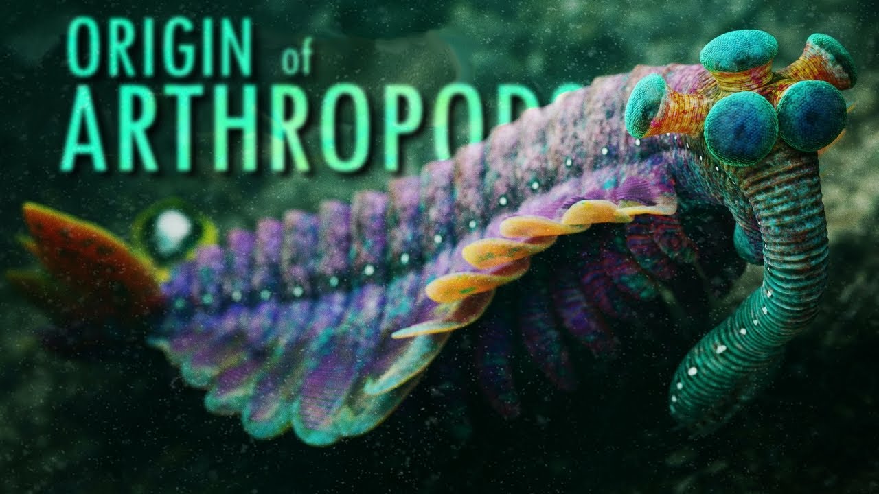 Origin of ARTHROPODS