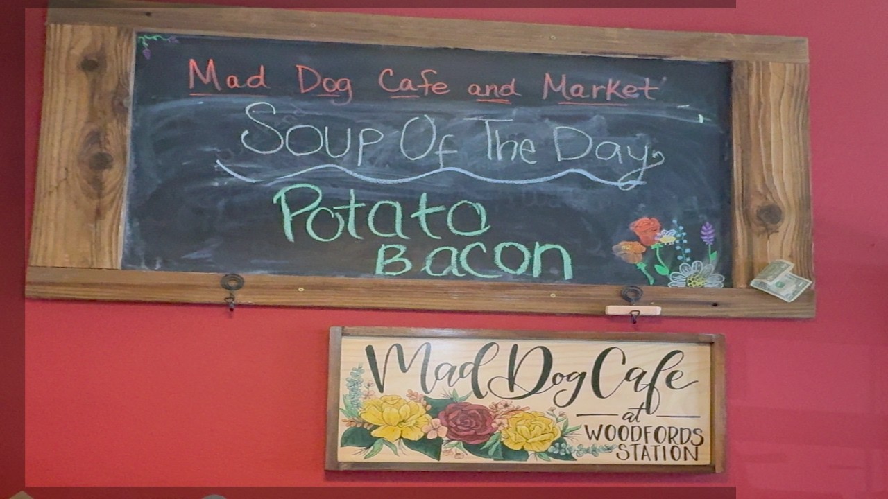 🇺🇸 Exploring USA 🇺🇸 A quick stop on CA 88 E || Mad Dog Cafe at Woodfords Station in  Markleeville