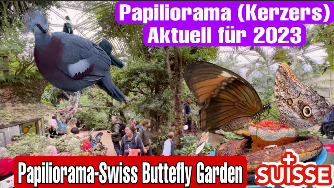 Papiliorama _kerzers _ Aktuell f&uuml;r 2023/Swiss Butterfly Garden@Switzerlandtravel26