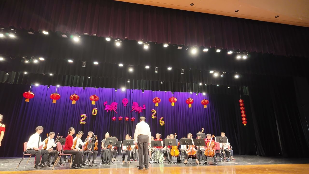 1. 管弦乐表演 (Orchestra)