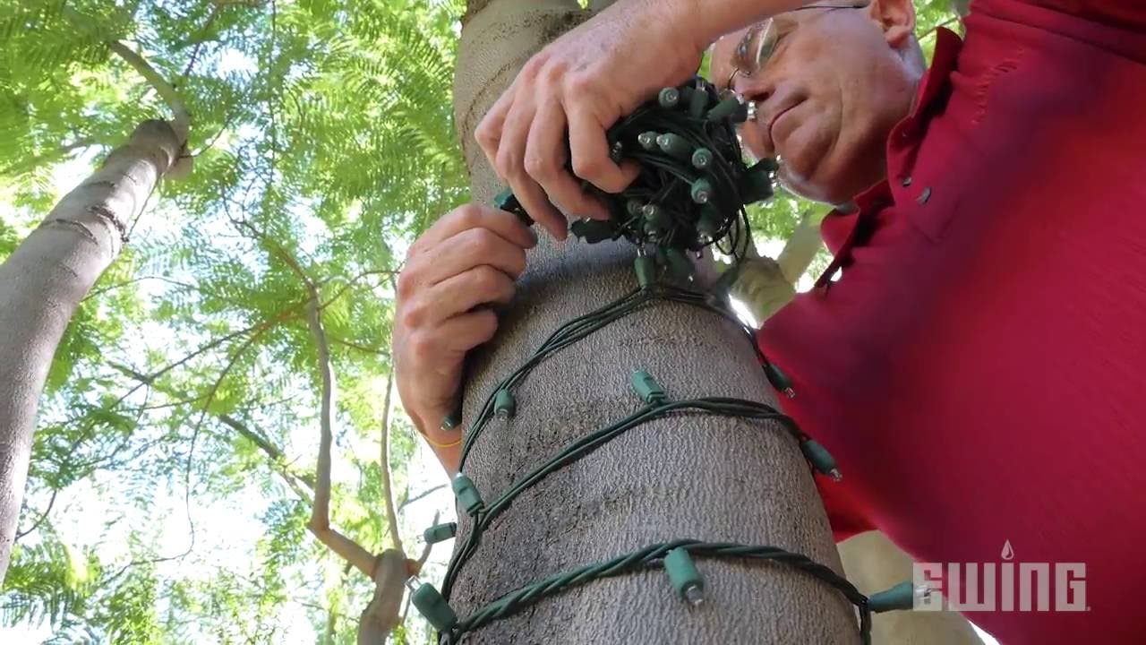 Professional Grade 5mm Holiday Lights - Tree Wrapping Tips