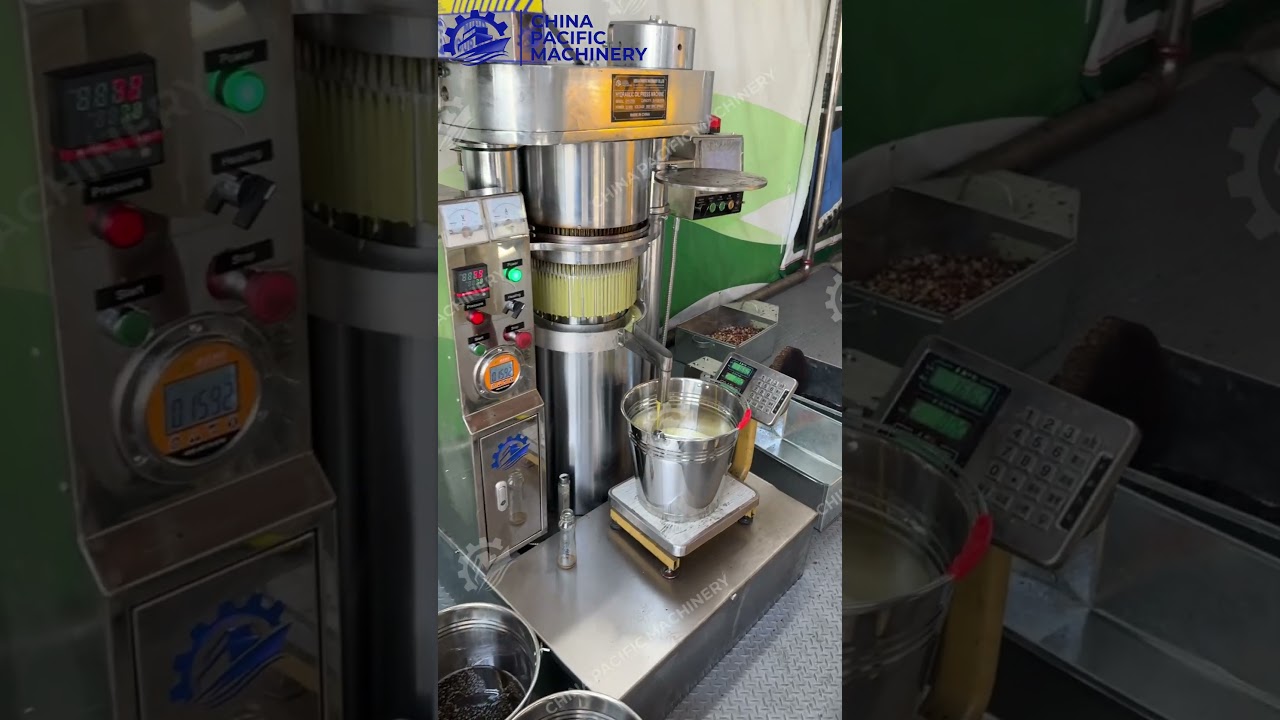 Hydraulic Mustard Oil Expeller Machine|Rapeseed Oil Press Machine|Canola Oil Extraction #oilmaking