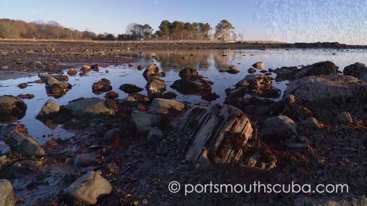 Sunken Forest, Rye NH