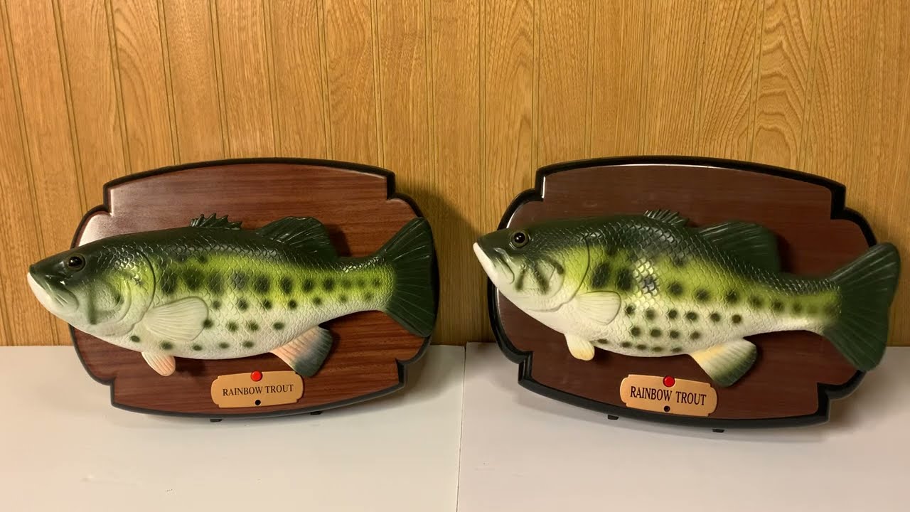Both variants of JSNY Rainbow Trout