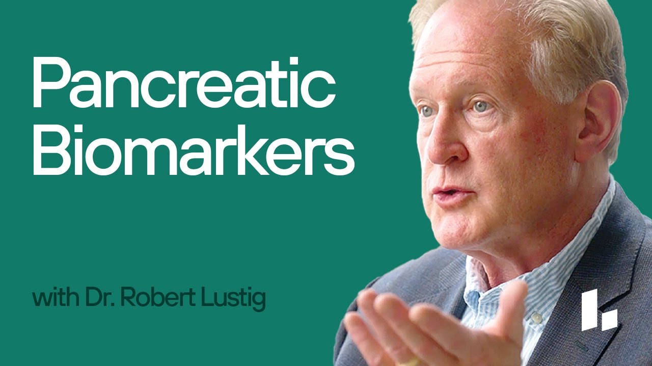 Key BLOOD TEST Results Explained that Tell You About Your PANCREAS Health  | Dr. Robert Lustig