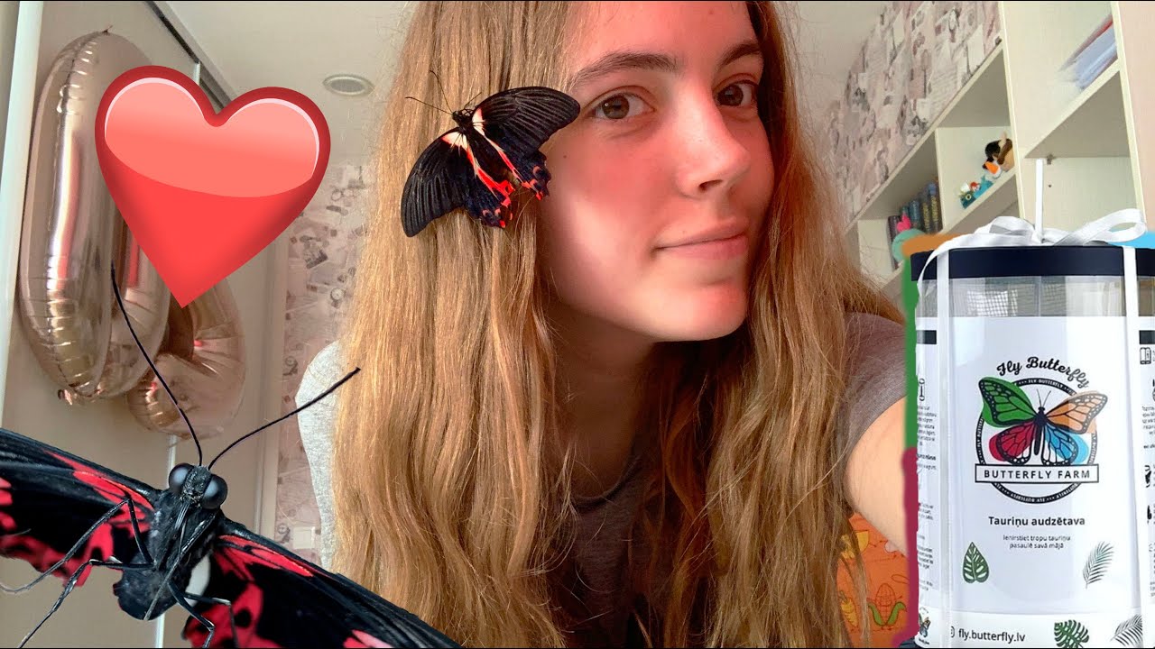Мне подарили бабочек! 🦋 | Ферма Бабочек 🍊