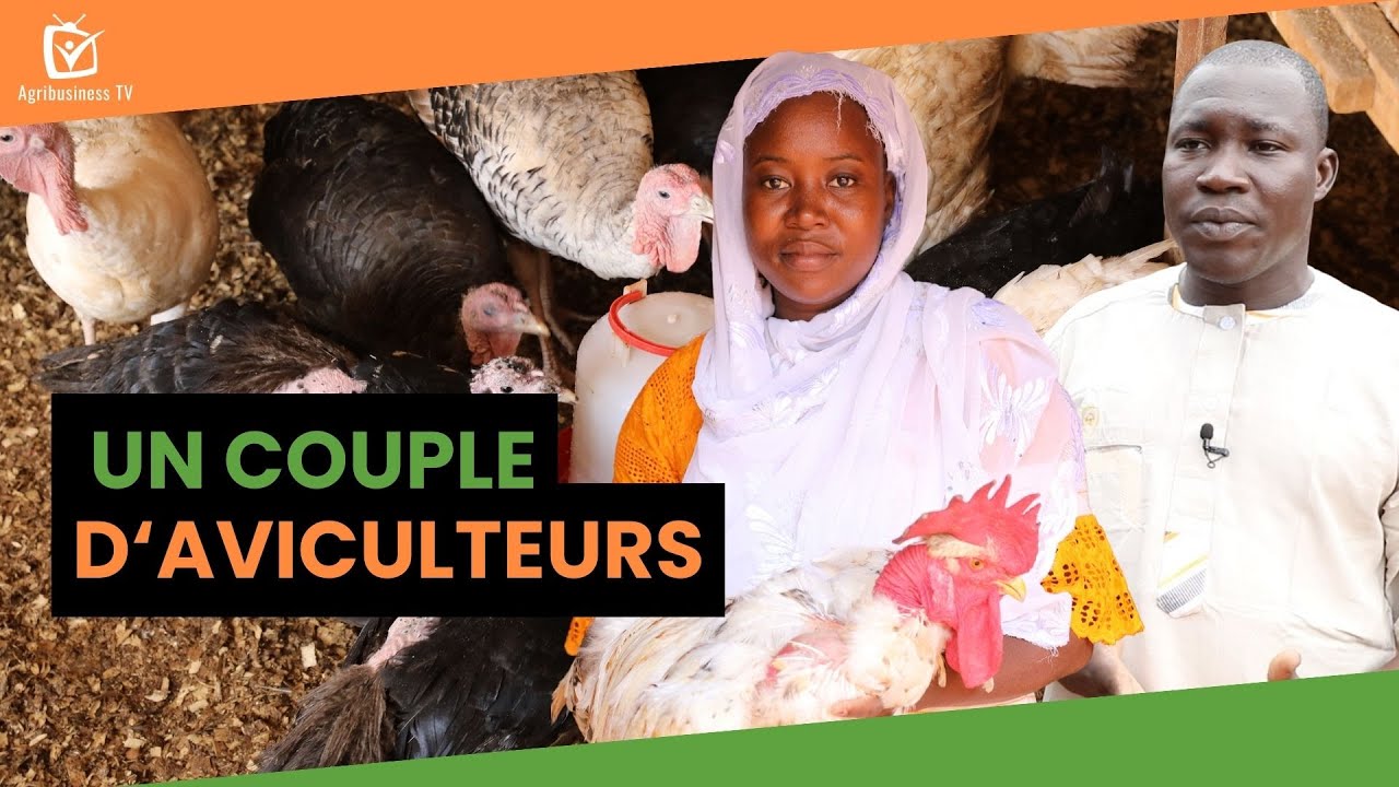 Burkina Faso : Un couple d’aviculteurs